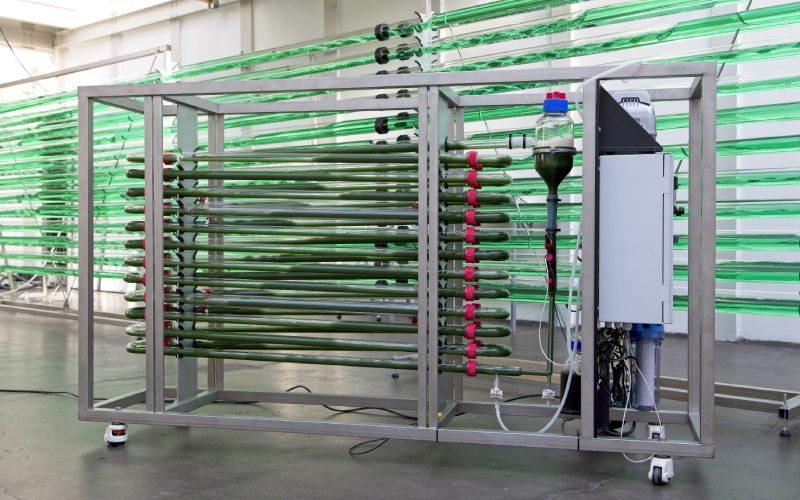 Lab 25 photobioreactor for research and development at a small scale