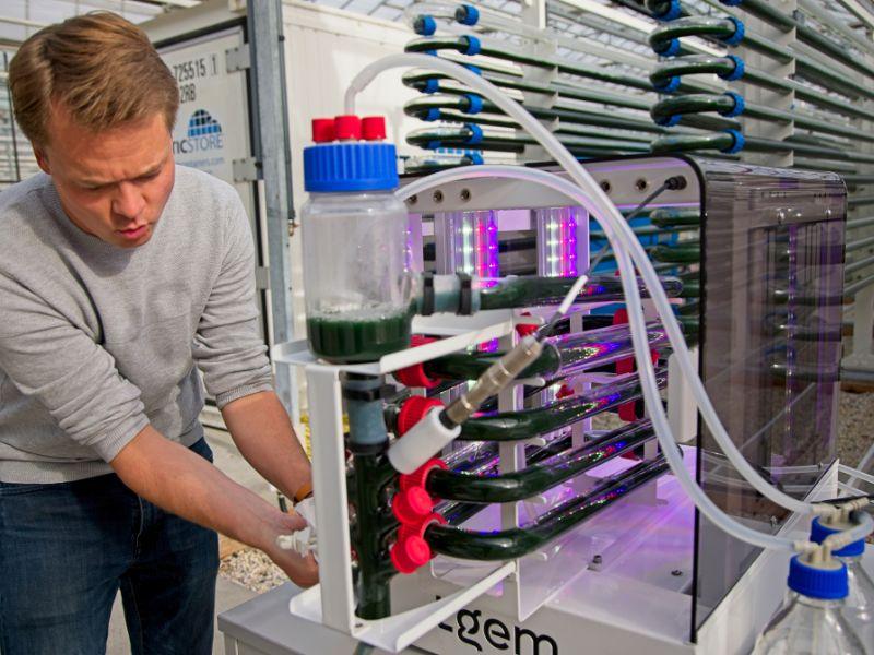 CSO Pieter Oostlander, in the lab at Lgem working on plant-based protein innovations