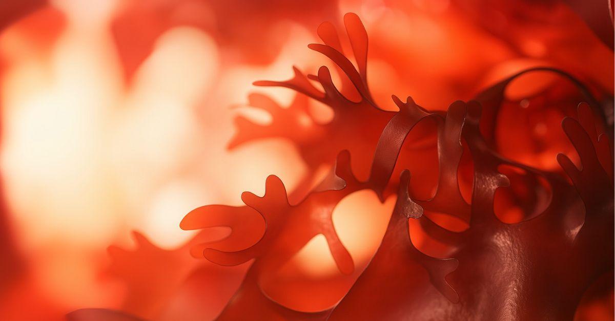 Astaxanthin reseach in the Medical Industry_ Research and Development Frontiers 1