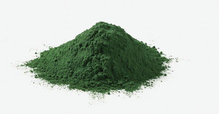 Green spirulina powder from the growing spirulina process, dried and finely ground for nutritional use.